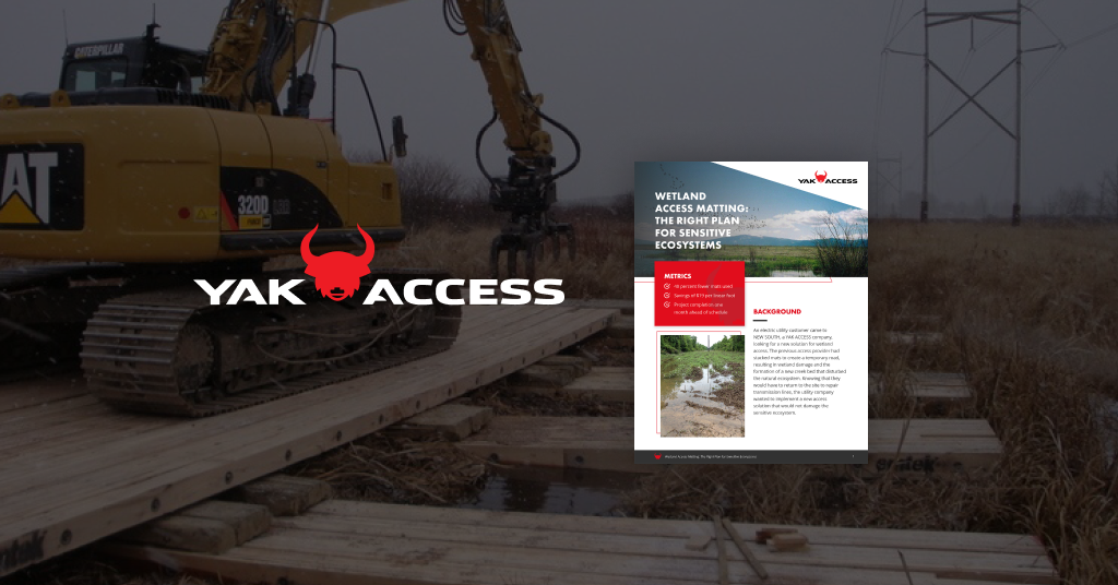 Preview of YAK ACCESS Case Study 